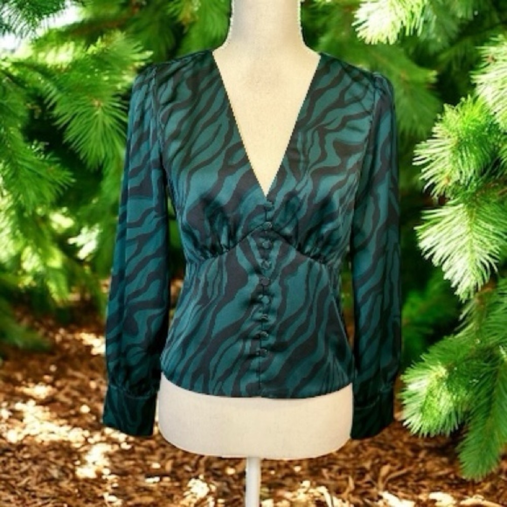 J. Crew ‘Deep V-Neck Zebra Stripe Silky Button-Front Long-Sleeve Top’ in Green 0